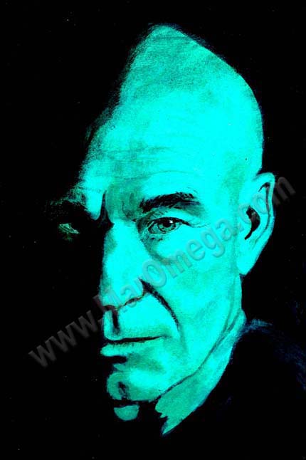 Patrick Stewart acrylic